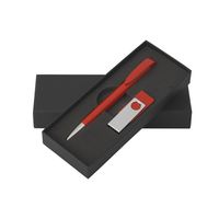 Набор ручка и флешка Jona М N011 Купить 