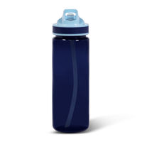 Спортивные бутылки для воды Premio 750ml купить оптом с нанесением логотипа