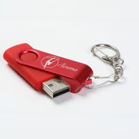 Именные флешки для художественной гимнастики недорогие можно заказать 