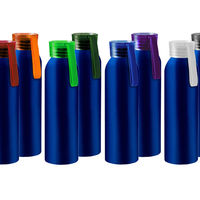 Бутылка для воды VIKING BLUE 650мл. с нанесением логотипа и доставкой