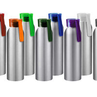 Бутылки для воды заказать с нанесением логотипа VIKING SILVER  650мл. PT6141V