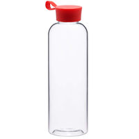 Бутылка для воды INVITE 550мл. PT6170V