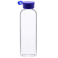 Бутылка для воды INVITE 550мл. PT6170V