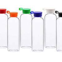 Бутылка для воды INVITE 550мл. PT6170V