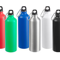 Бутылки для воды заказать с нанесением логотипа PT6160V