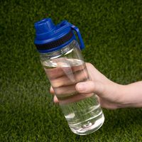 Бутылка для воды Dayspring PT15524P