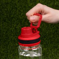 Бутылка для воды Dayspring PT15524P