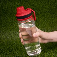 Бутылка для воды Dayspring PT15524P