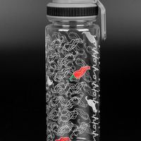 Бутылка для воды Dayspring PT15524P