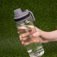 Бутылка для воды Dayspring PT15524P