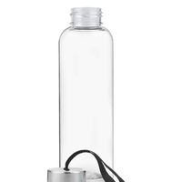 Заказать бутылку для воды VERONA 550мл PT6260V с нанесением логотипа и доставкой